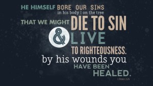 f02883cce6b2236833702a44ba7624b1